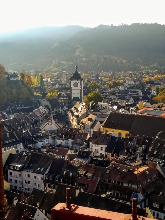 Luxus Apartment Ludwigxv Freiburg im Breisgau Exteriör bild